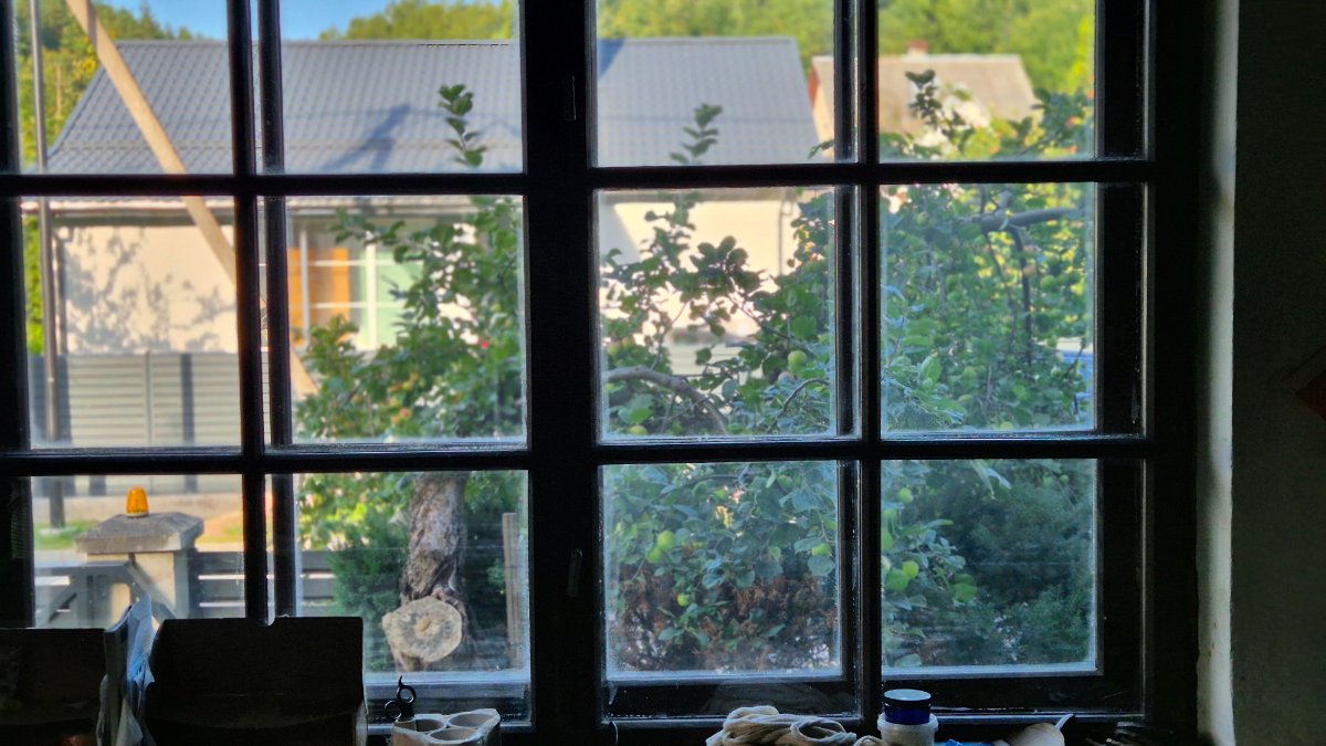The view from the workshop, apples included.