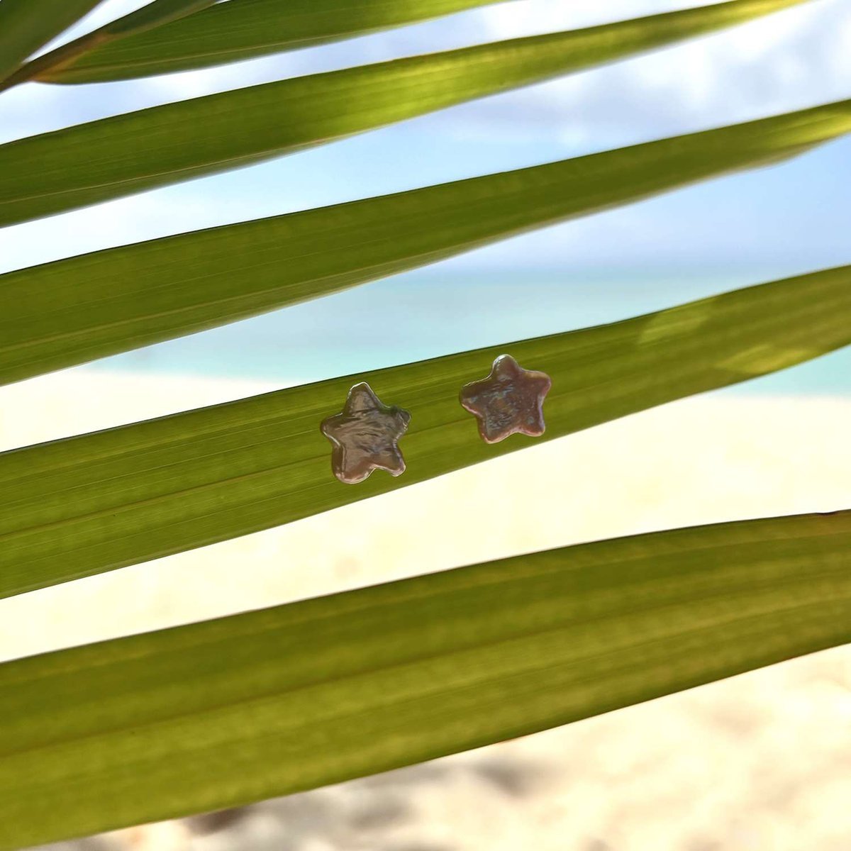 Star pearls on a palm leaf, with sand and open water behind.