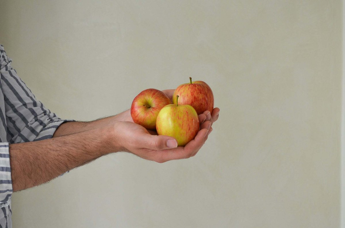 Apples left over from Italian juice production.